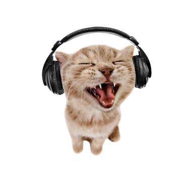 A little cat wearing headphones.